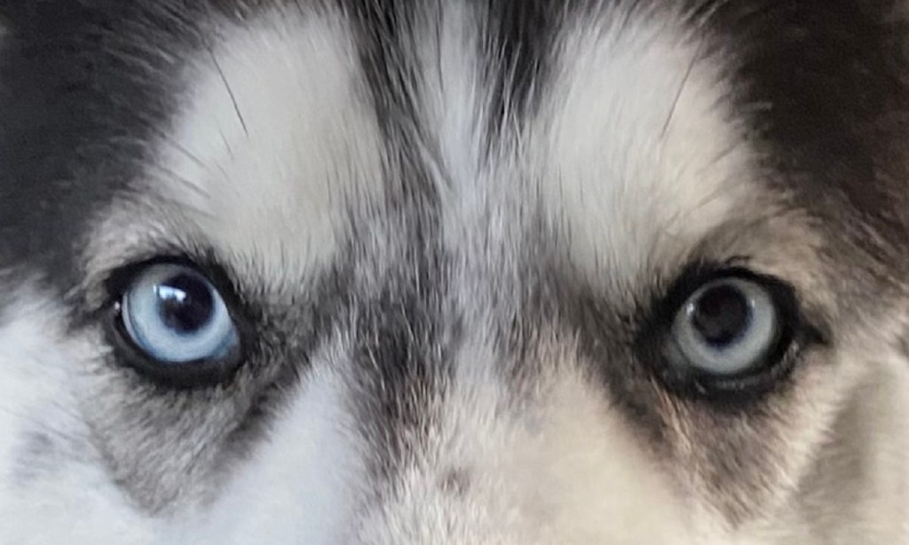 The Essence of Agile&nbsp;Transformation