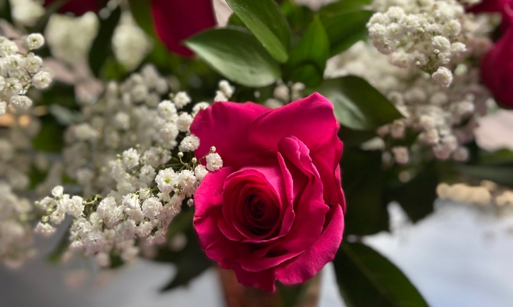 Do Not Forget to Smell the Roses Along the&nbsp;Way