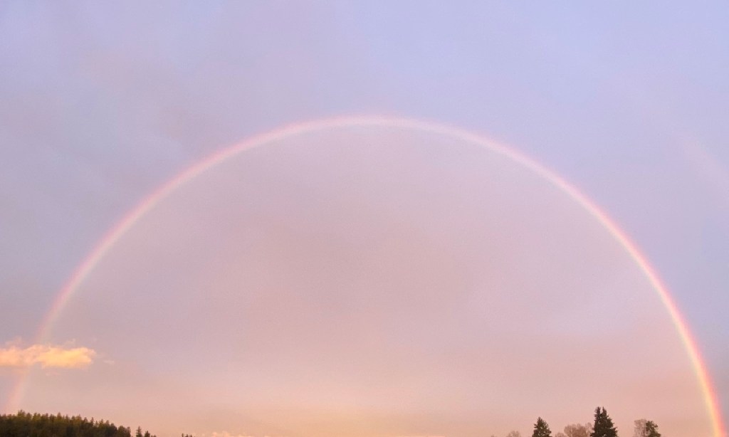 A Small Dose of Stakeholder&nbsp;Management