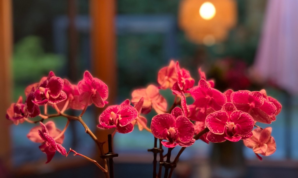 3 Key Steps in Leading&nbsp;Change